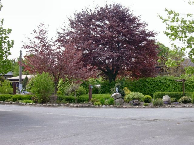 Willkommen in Dellstedt Bilder vom Dorf