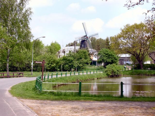 Willkommen in Dellstedt Bilder vom Dorf